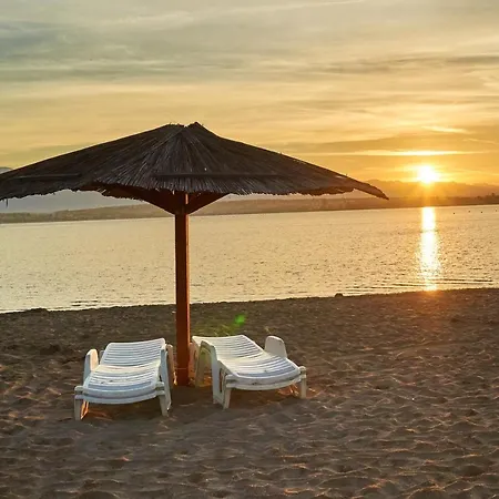 Comfy In With Fenced Garden Apartment