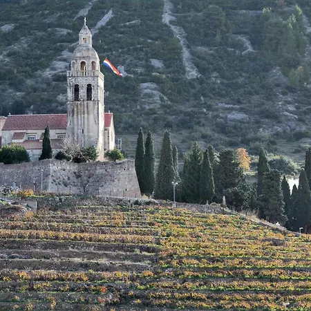 Comfy In With Fenced Garden *